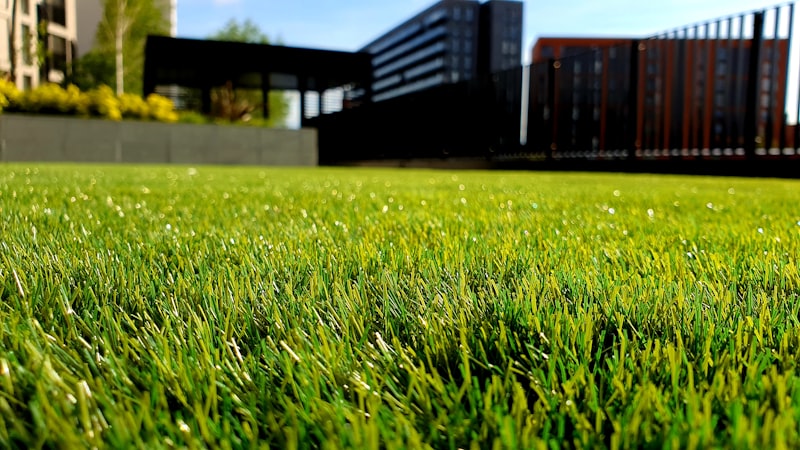 Lawn & Landscaping